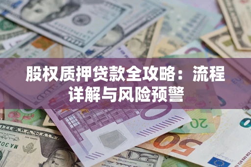 北京股权质押贷款全攻略：流程详解与风险预警