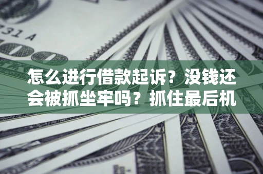 北京怎么进行借款起诉？没钱还会被抓坐牢吗？抓住最后机会！