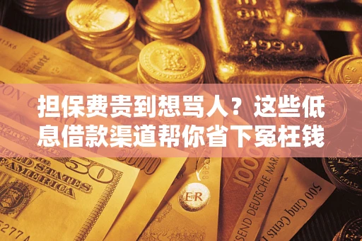 北京担保费贵到想骂人？这些低息借款渠道帮你省下冤枉钱